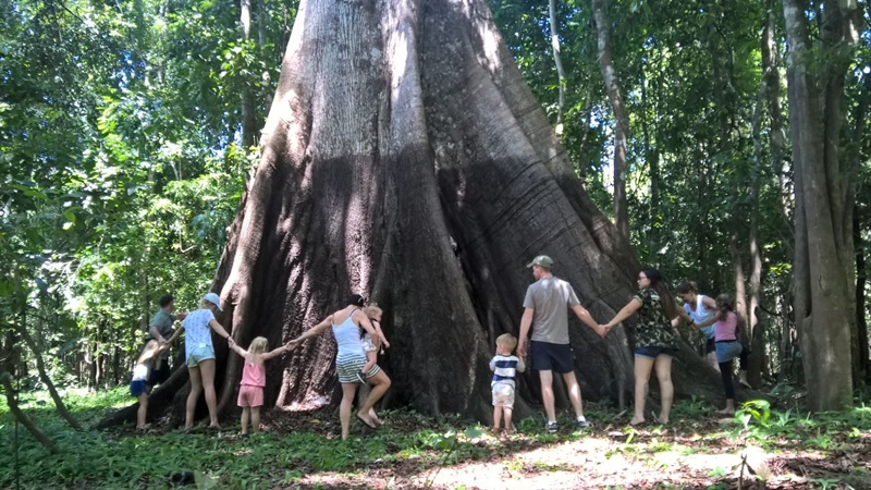AMAZON LODGE,AMAZON ECO LODGE,HOTEL DE SELVA